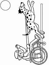 Disabili Handicap Behinderte Handicapes Persone Handicape Coloringpagebook Toopy Binoo Disabilities Wheelchair Gifgratis Ariel Malvorlage Prend sketch template