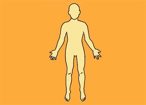 human body outline  templates front
