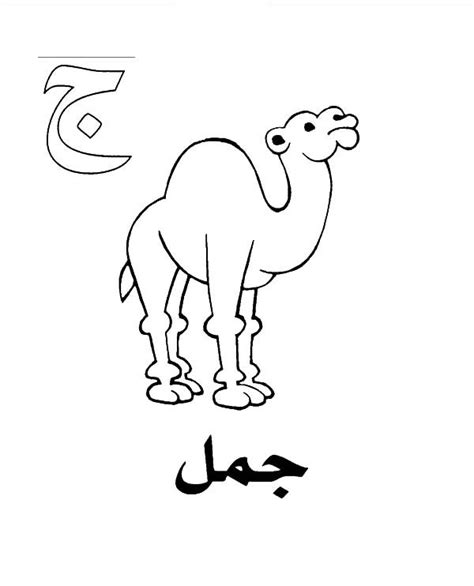 arabic alphabet jeem  camel coloring pages  place  color