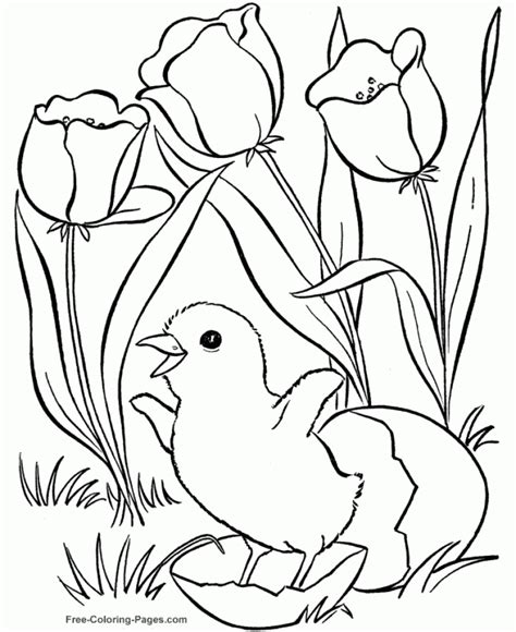 gambar easy preschool printable spring coloring pages qovf  rebanas