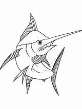 Marlin Coloring Pages Fish Printable sketch template