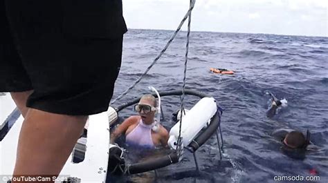 porn star molly cavalli cries out as a 10ft shark bites daily mail online