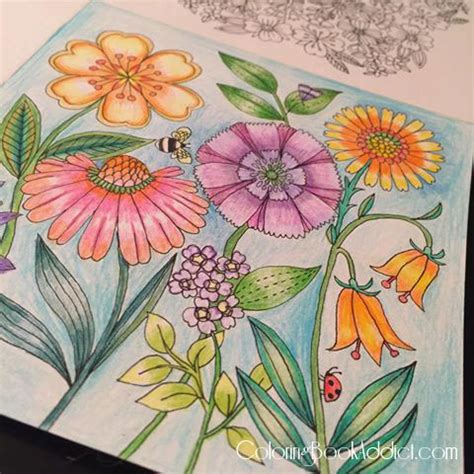 world  flowers coloring book finished pages adobe coloring book