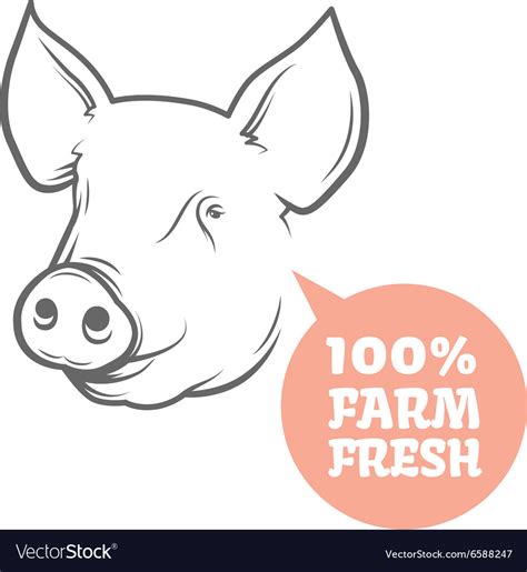 pig logo design template royalty  vector image