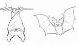 Colorir Morcegos sketch template