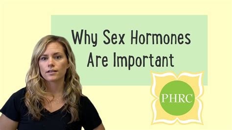sex hormones yes they re important youtube