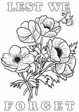 Colouring Remembrance Lest Poppies Rooftoppost sketch template
