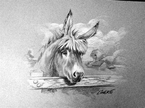 cute donkey  color pencil    lineke lijn  deviantart
