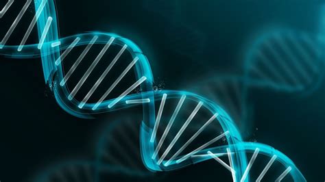 dna structure hd wallpaper background image  id