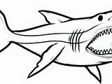 Megalodon Coloring Shark Pages Getdrawings Getcolorings Colo sketch template