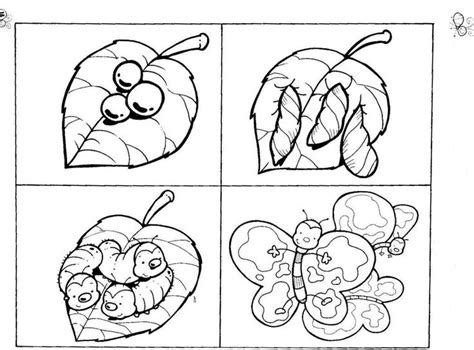 butterfly life cycle printable  coloring pages