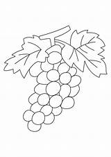 Demandez Doigts Catalogue Legumes Coloriages Colorier Grappe Raisin 10doigts sketch template