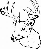 Deer Coloring Head Pages Elk Printable Buck Drawing Line Color Cartoon Doe Hunting Print Simple Adult Template Clipart Book Christmas sketch template