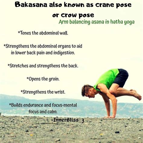 bakasana    crane pose  crow pose yoga  yoga