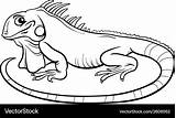 Iguana Coloring Cartoon Vector Book Royalty sketch template