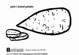 Sweet Potato Coloring Pages Printable sketch template