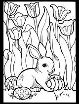 Coloriage Sheets Ausmalbilder Bunnies Dover Rabbit Adult Lamb Noiret Géraldine épinglé Pâques Pintar Ostern Doverpublications Hunde Rysunki Dla Inkspired Musings sketch template