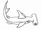 Shark Coloring Hammerhead Pages Hungry Habitat Its Printable Getcolorings Sharks Color Sheet Colouring Getdrawings Kids sketch template