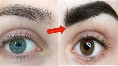 How To Grow Eyebrows Back Fast Vaseline 3 Oils You Have