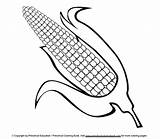 Coloring Corn Cob Eel Pages Para Colorear Mazorca Maiz Indian Getcolorings Getdrawings Printable Drawing Good Color Colorings Moray Corncob sketch template