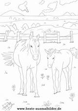 Pferde Ausmalbild Pferd Ausdrucken Bibi Malen Gratis Zahlen Malvorlage Pferden Malvorlagen Mandalas Caballo Ando Komputer sketch template