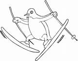 Pinguini Coloring Penguin Planse Colorat Penguins Skis Supercoloring sketch template