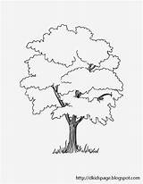Tree Coloring Printable Kids Drawing Pages Drawings Simple Dkidspage Earth Patterns Outline sketch template