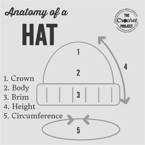 anatomy   hat