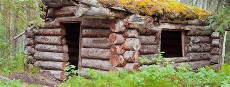 how to build your own survival log cabin in five steps