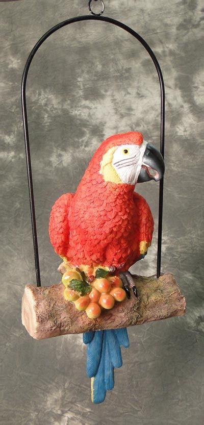 macaw parrot  swing globe imports