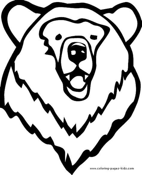 bear head coloring page  toddlers bear coloring pages coloring
