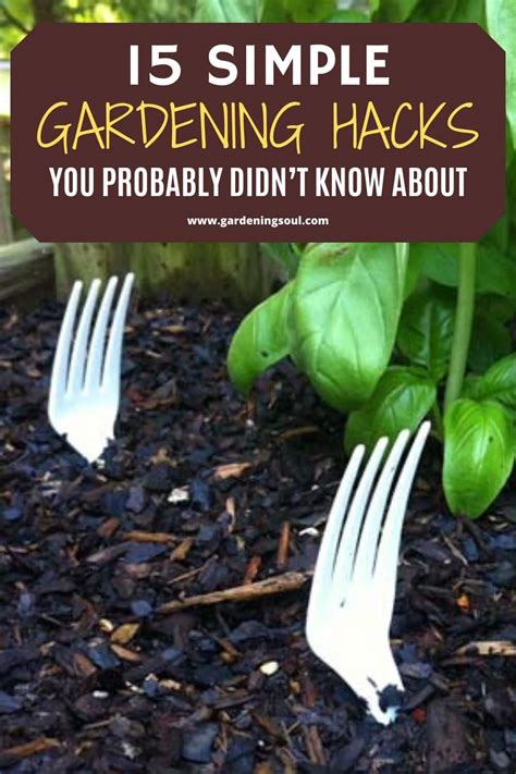 15 simple gardening hacks you probably didn t know about