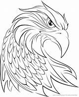 Adler Malvorlage Falcon sketch template
