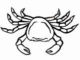 Colorat Rac Crab Planse Desene Hermit Imagini Fise Raci Crabi Racheta Printable Desenat Animale Plansa Insecte Imaginea Racul Educatia Conteaza sketch template