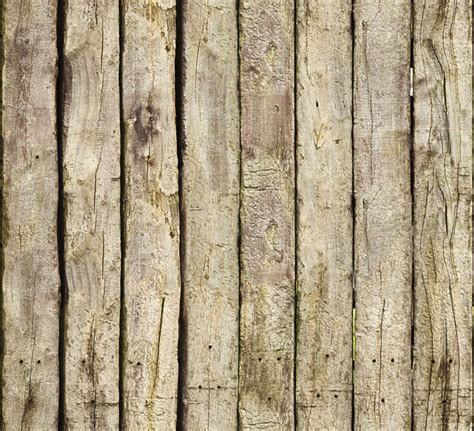 woodrough  background texture wood  rough