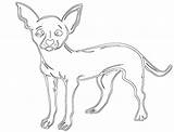 Chihuahua Coloring Pages Simple sketch template