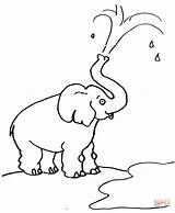 Elefante Colorir Elefantes Elefant Wasser Lanzando Rüssel Elefanten Trompa Ausmalbilder Designlooter Elephants Trunks sketch template