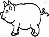 Pig Coloring Animals Pages Pigs Kids Printable Coloringpage Rating Drawings sketch template