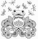Coloring Pages Forest Adult Enchanted Frog Choose Board sketch template