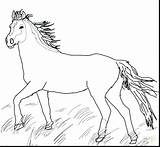 Coloring Horse Appaloosa Pages Paint Sheets Getcolorings Getdrawings sketch template