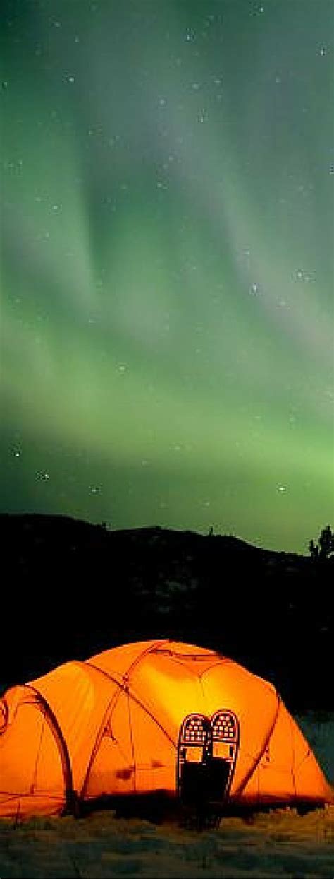 aurora borealis  canada cool places  visit northern lights north america travel