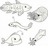Deep Sea Coloring Fish Vector Life Illustrations Clip sketch template