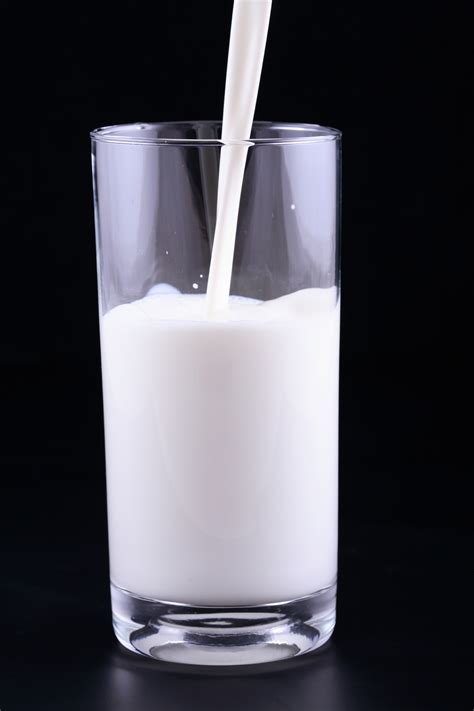 dr oz hemp milk coconut milk almond milk health benefits  buzz