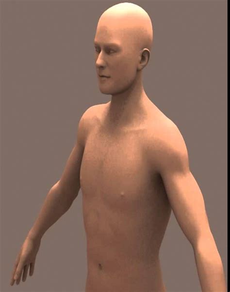3d Model Of Nude Male Body 01 Review Youtube