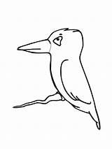 Kingfisher Coloring Pages Bird Cute Little Drawing Birds Online Kids Kiwi Belted Color Clipartmag Getdrawings Easy sketch template