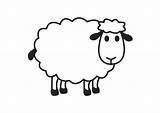 Schaap Kleurplaat Sheep Sheeps sketch template