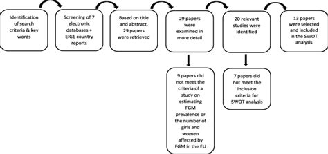 schematic overview   literature review process