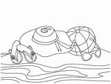 Kanak Ringkasan Indah Praias Dolphins Rocks Webtech360 sketch template