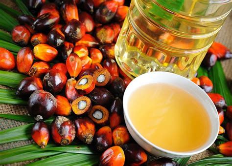 palm oil  kernel oil   bad   health