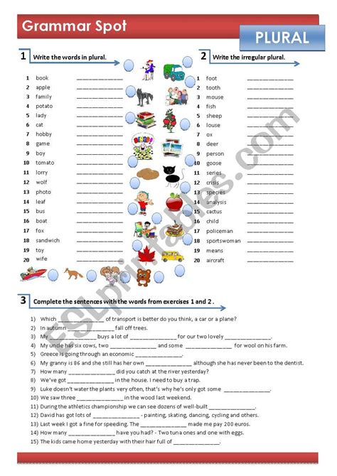 regular  irregular plural noun exercises worksheet  esl images